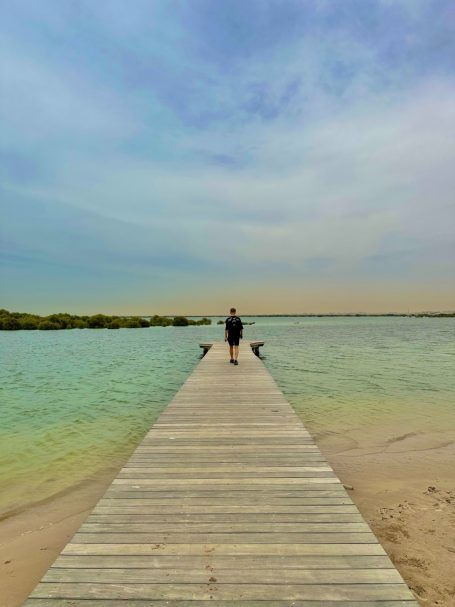 Mangroves
