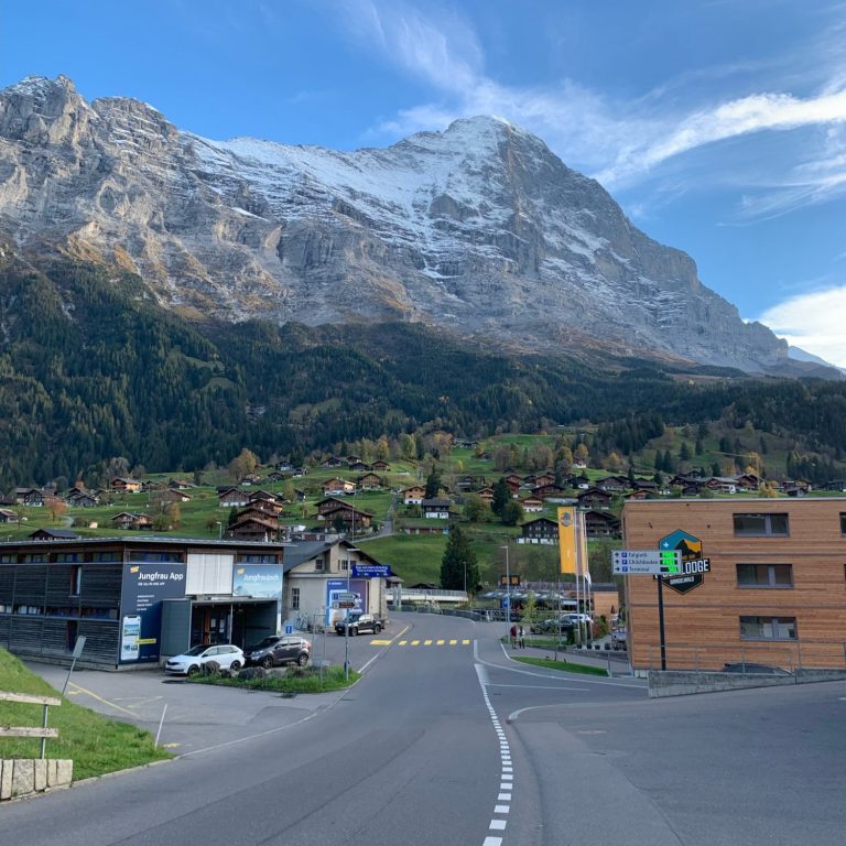 View of Grindelwald Terminal