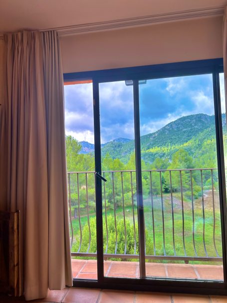 Bedroom View