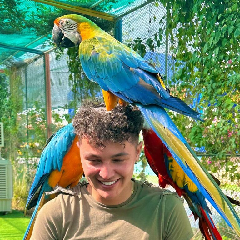 Dec at UAE Pygmy Zoo.