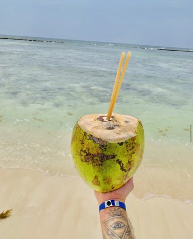 Coconut on beach at Mexico.
