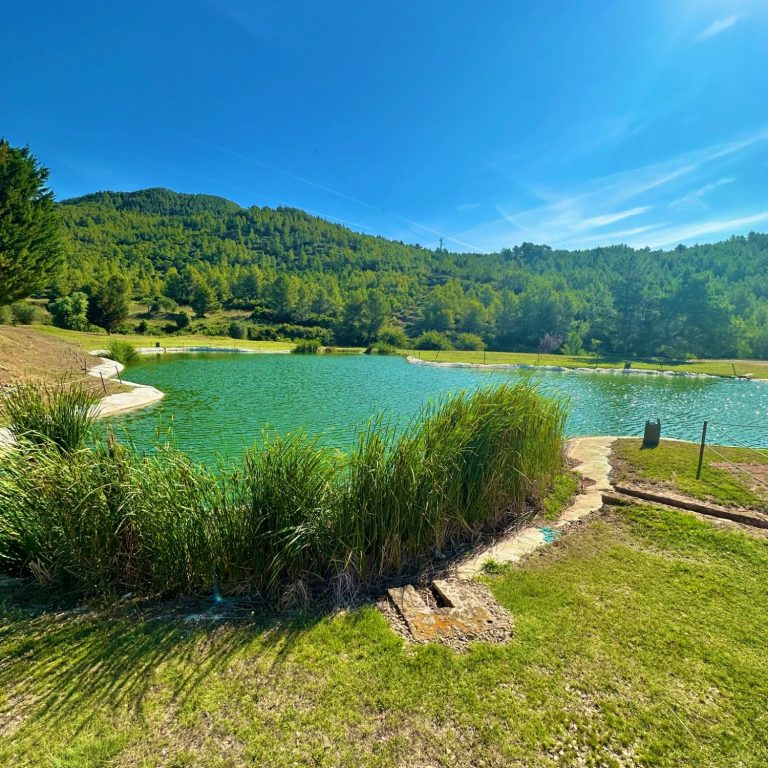 Lake surrounding the Hotel
