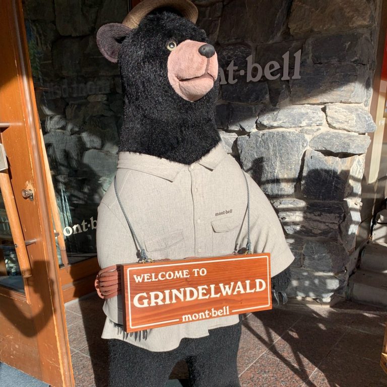 Welcome to Grindelwald Bear