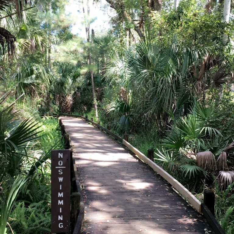 Ocala National Park